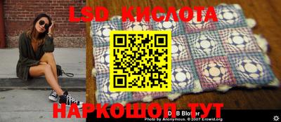 прущие грибы Кулебаки