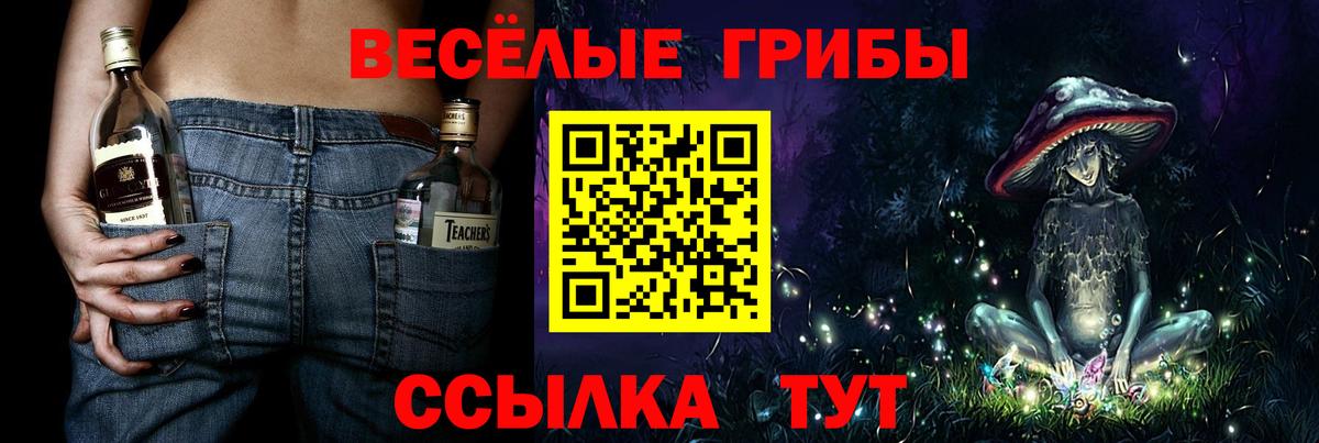 где купить наркоту  Галлюциногенные грибы Cubensis  Тимашёвск  Вход с VPN  Псилоцибиновые грибы MAGIC MUSHROOMS 